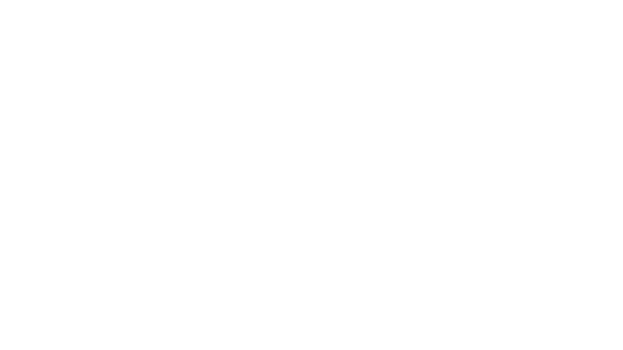 ScaleBlockS Project.
